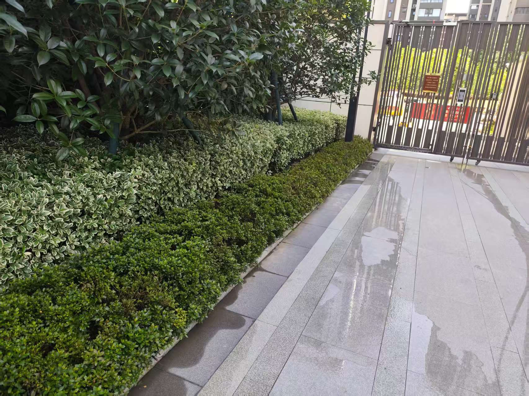 绿化3.jpg